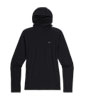 Alpine Onset Merino 150 Hoodie