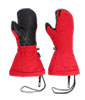 Alti II GTX Mitts Men