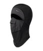 Balaclava Arctic WS