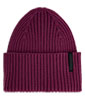 Bandera Beanie