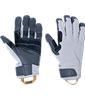Direct Route II Gloves