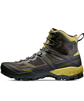 Mammut Ducan High GTX Men