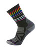 Hike Light Cushion Pride Crew Socks