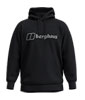 Logo Hoody Light