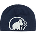 Mammut Logo Beanie