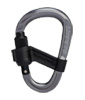 Smart HMS 2.0 Screwgate Carabiner